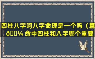 四柱八字呵八字命理是一个吗（算 🌾 命中四柱和八字哪个重要）